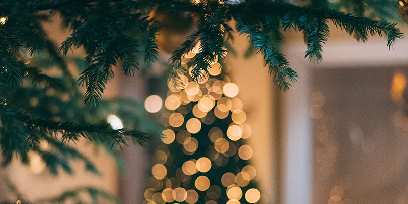 Holiday Christmas tree lights