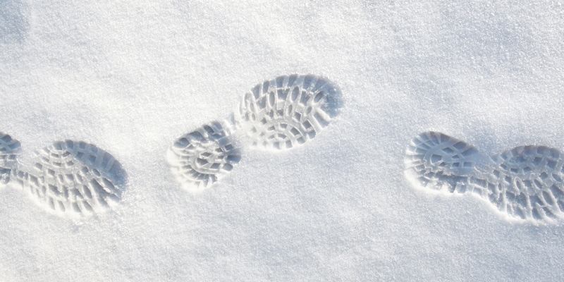 Shoeprints in snow